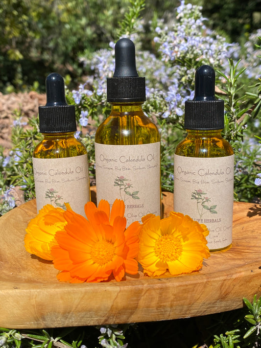 Organic Calendula Oil